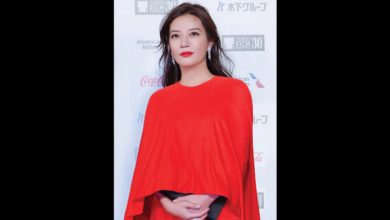 Zhao Wei