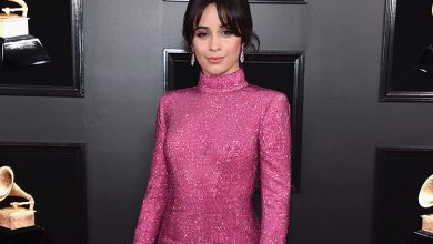 Camila cabello wears harry winston jewelry