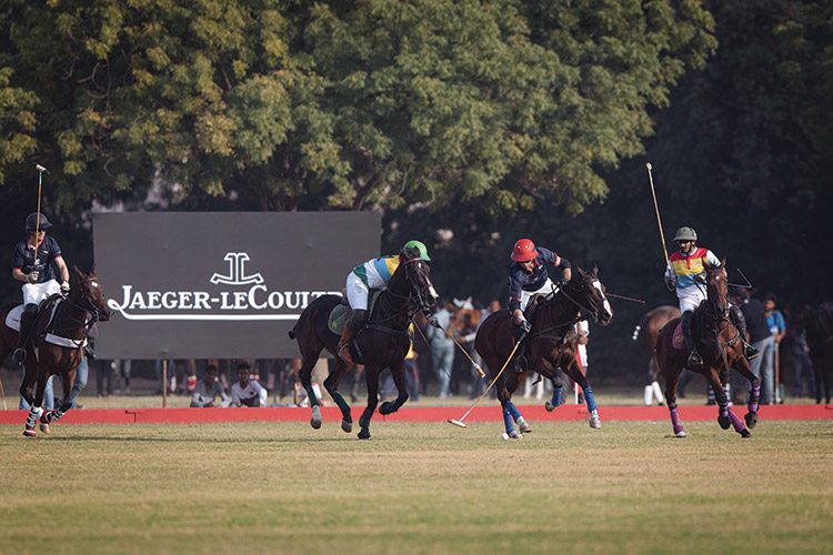 British Polo Day